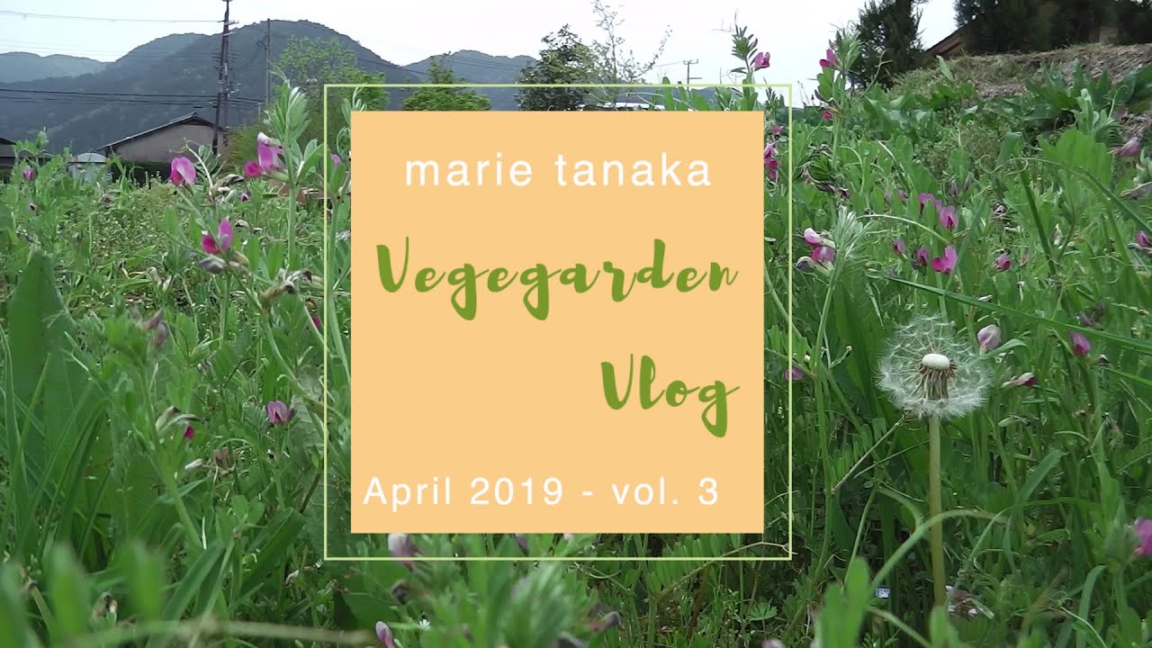 家庭菜園Vlog 2019年4月vol.3