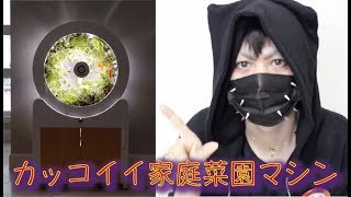 【家庭菜園】未来的！室内で野菜を育てるガーデニング装置【OGarden Smart】