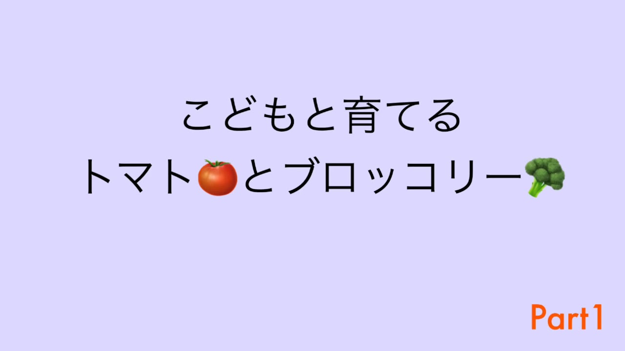 挑戦！こどもと一緒に家庭菜園