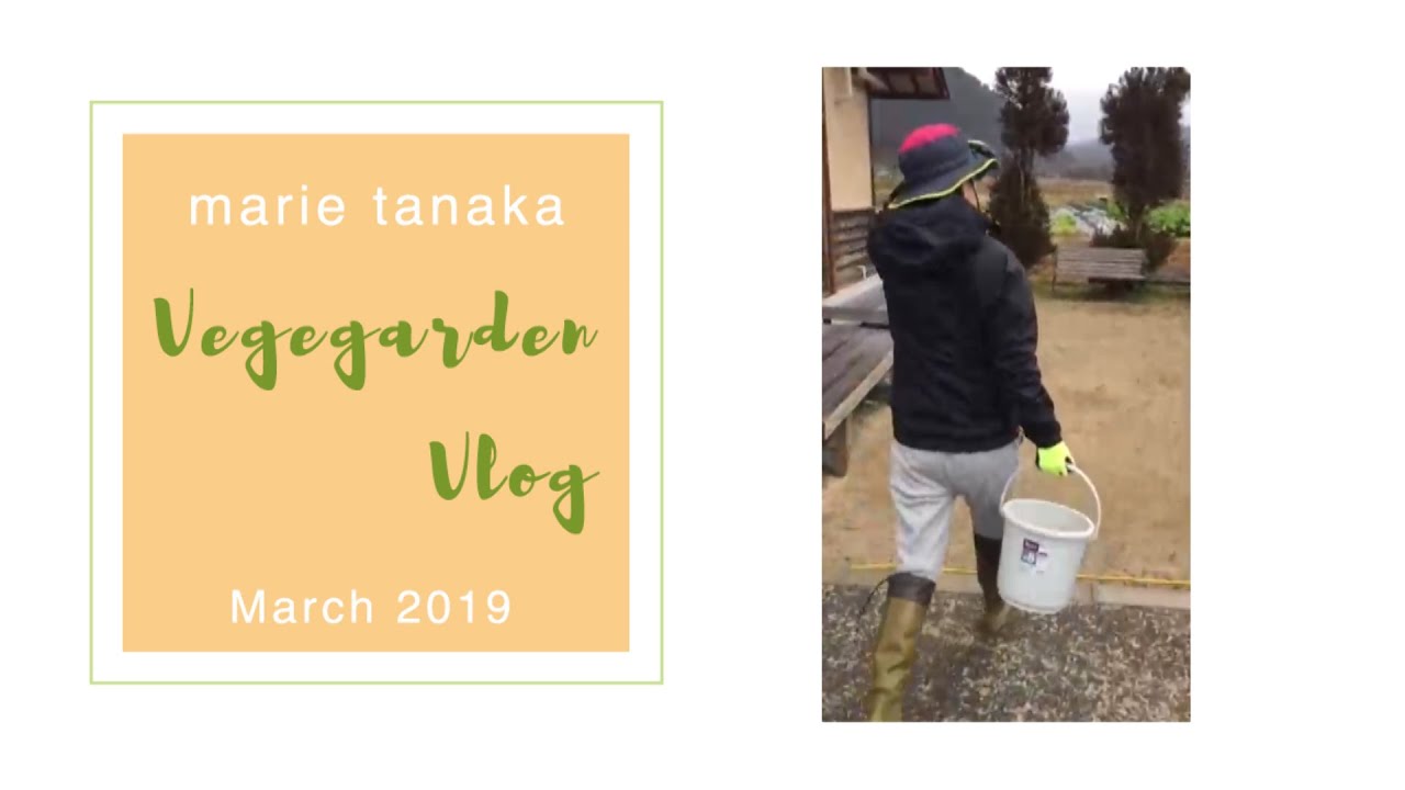 家庭菜園Vlog 2019年3月