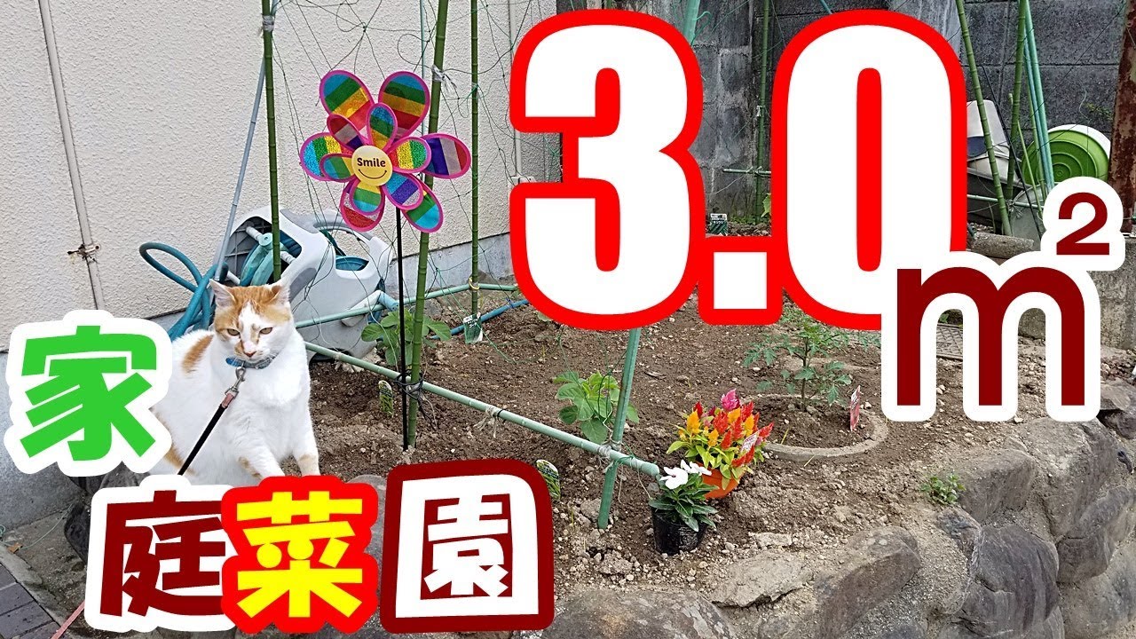 【家庭菜園】3.0㎡の土地に素人が作る。きゅうり、枝豆、ゴ―ヤ、ミニトマトなど・・平成最後に苗を植える。