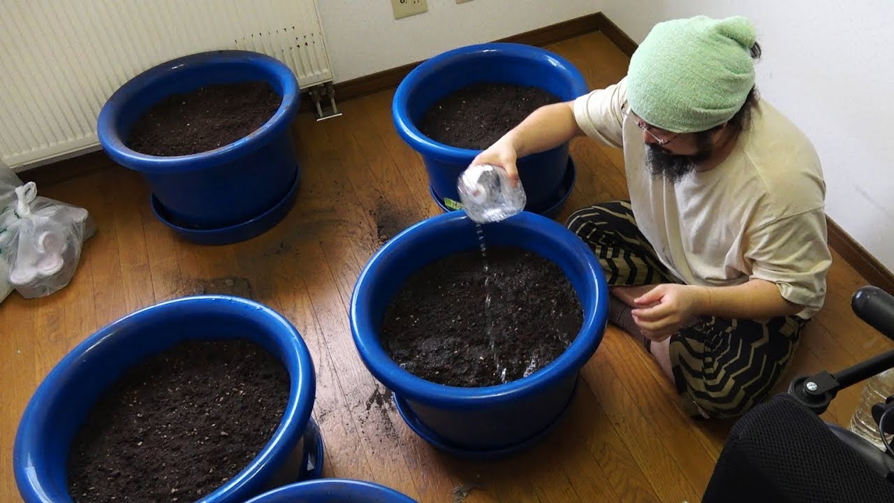 あたるちゃん家庭ハーブ菜園ラボ【14号室】