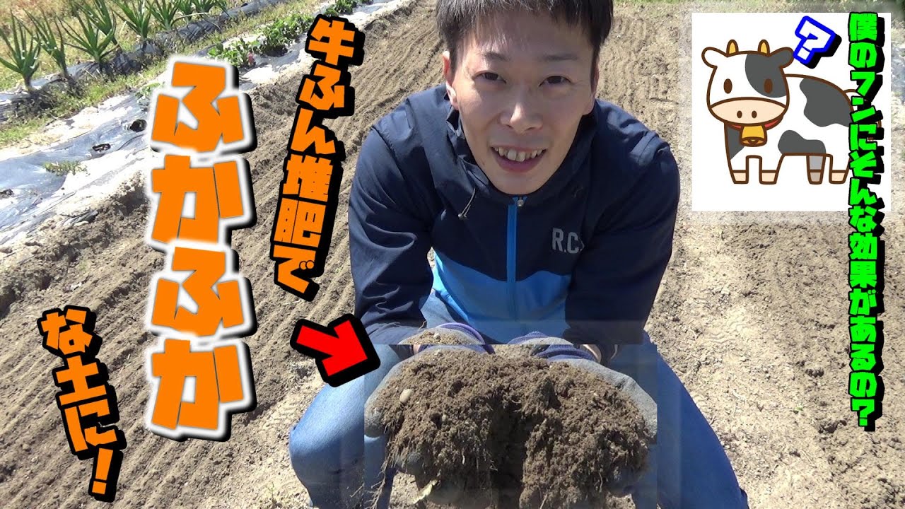 【家庭菜園】＃１６　土づくり　後編　堆肥でふかふかの土に！