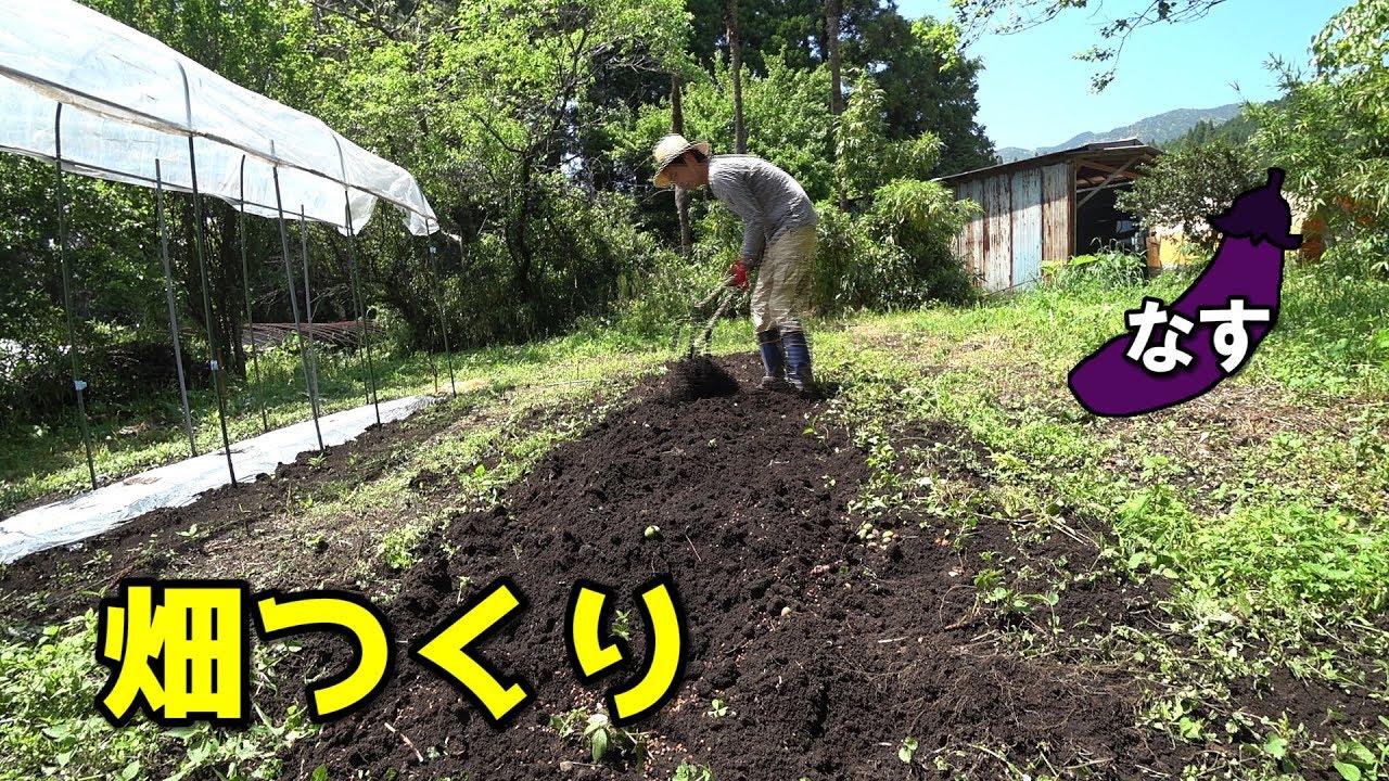 ナス栽培・畑つくりと苗つくりの様子〔家庭菜園,千両二号,4月中旬～〕