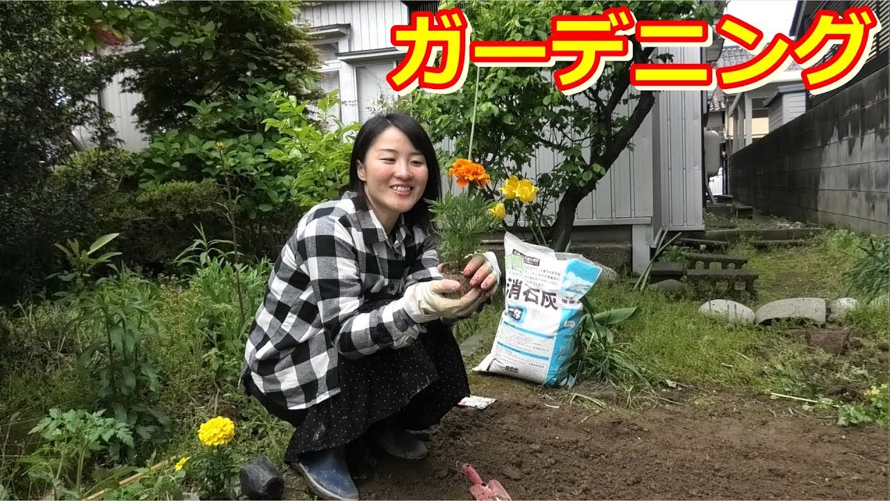 【ガーデニング3】家庭菜園を作る Gardening