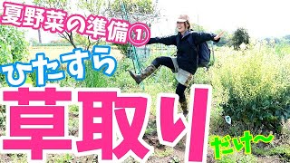 【家庭菜園】ただただ草取り♫早送り！草がなくなっていく様子って、見ていて気持ちいぃ〜。