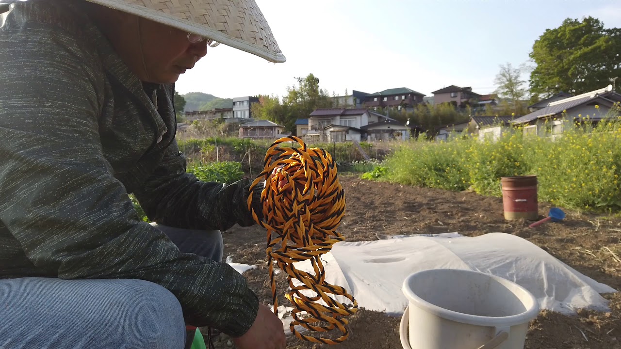 【家庭菜園】４K  发明新的打水工具，以后打水浇菜就不用那么辛苦了