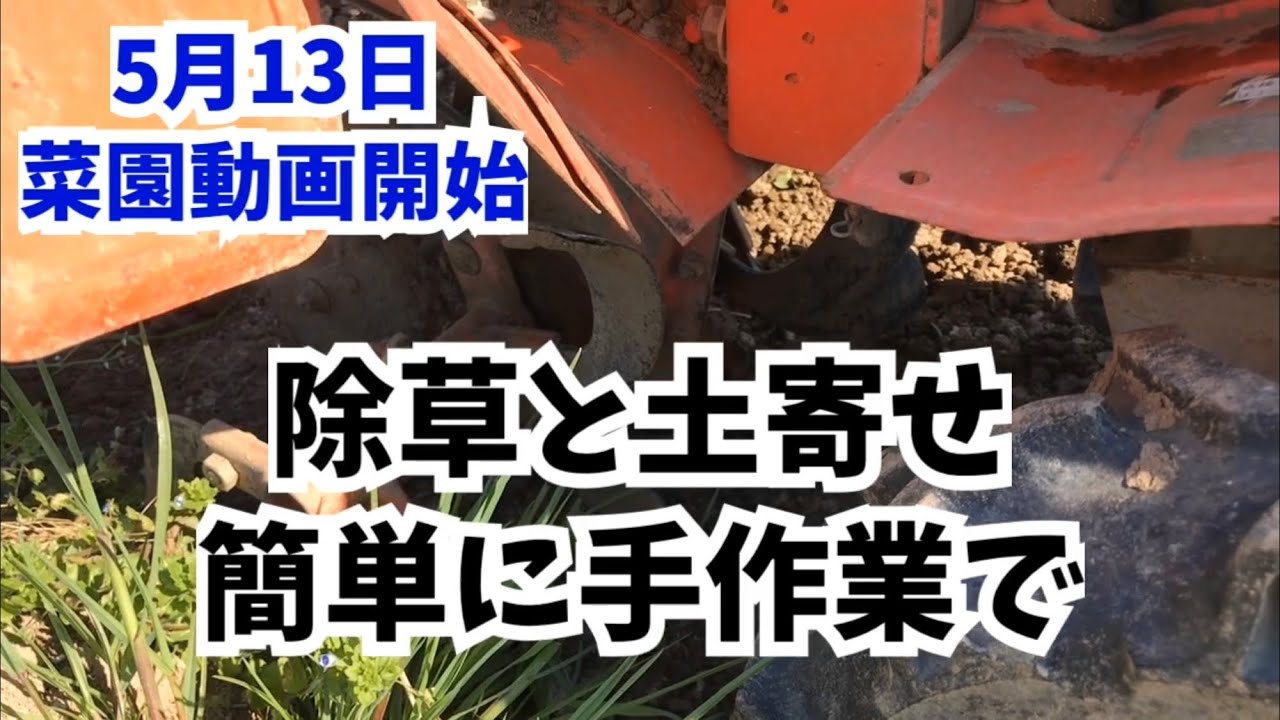 5月13日家庭菜園じゃがいも栽培・手作業で簡単除草と土寄せ作業