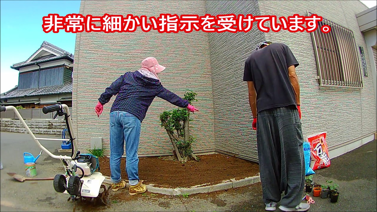 【家庭菜園】ええ加減な野菜作り⑯　『オクラ＆白ゴーヤ出張植付編』