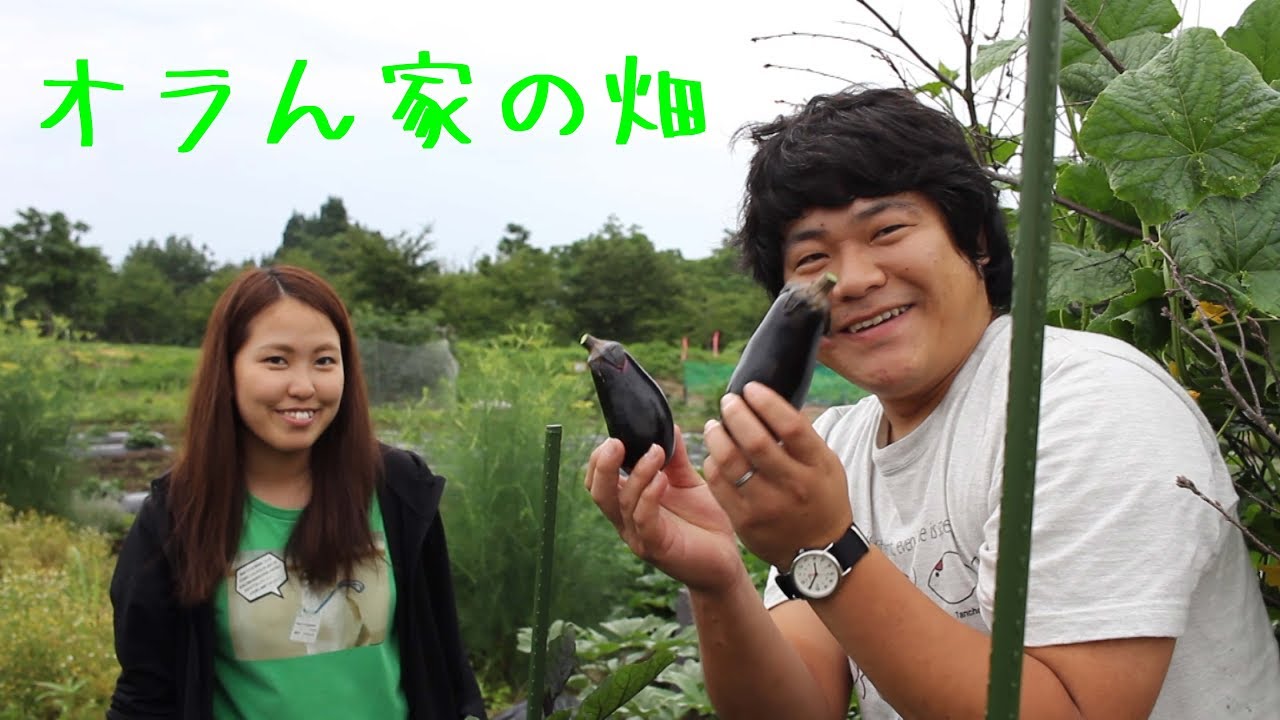 【家庭菜園】オラん家の畑の収穫～クラインガルテンふれあいの里（日帰り農園）～