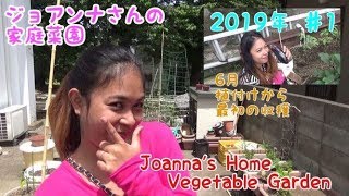 【家庭菜園】ジョアンナさんの家庭菜園　2019年　＃1　植え付けから最初の収穫　（6月）