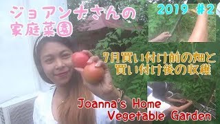 【家庭菜園】ジョアンナさんの家庭菜園　2019年　＃2　2回目の収穫　（7月）