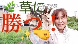 実践de納得！夏の手除草🌿無農薬で家庭菜園を！自然栽培農家が教えます✨