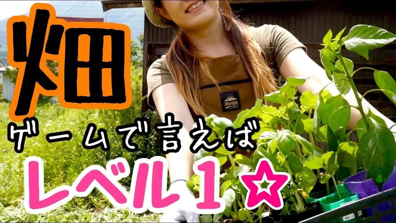 【畑女子】初心者の苗植えレベルはこのくらい！【楽しい家庭菜園】