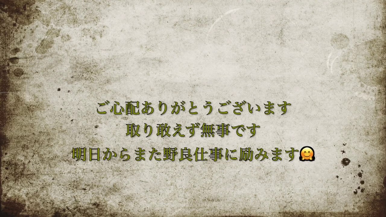 台風１５号の影響報告🌀無農薬で家庭菜園を！自然栽培農家が教えます✨