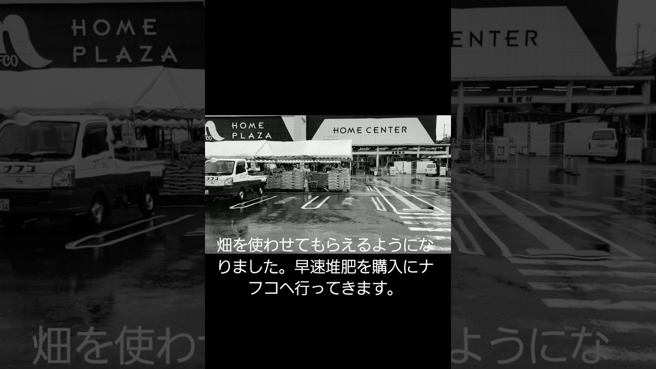 【家庭菜園】赤土の畑で有機栽培　お母さんと楽しみながら美味しい野菜作りをしていきます