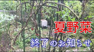 家庭菜園　夏野菜終了のお知らせ