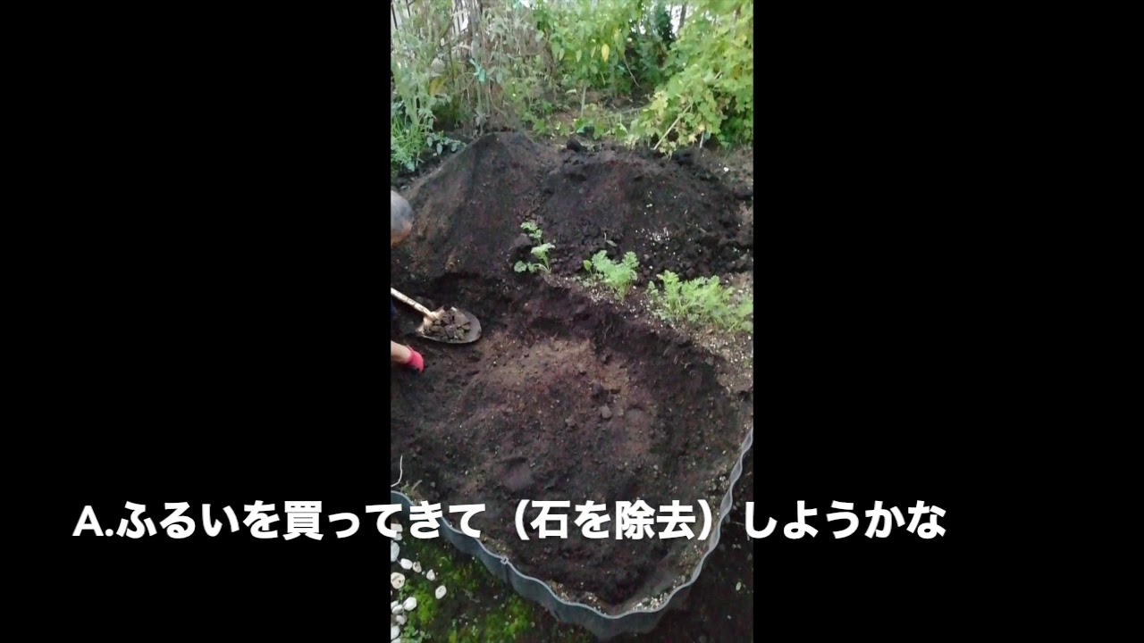 退職して暇を持て余している父が家庭菜園始めるってよ！