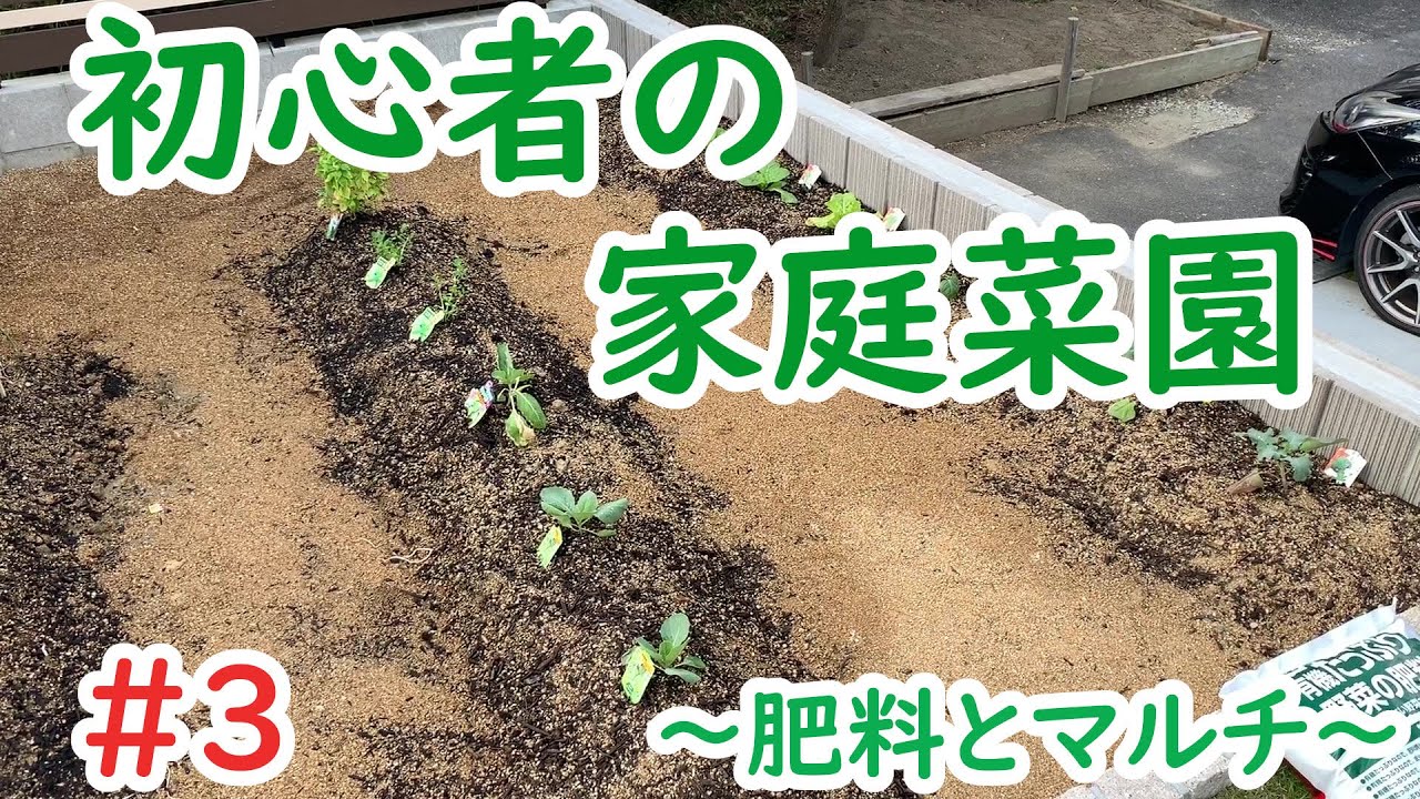 【家庭菜園】♯3　初心者の家庭菜園～肥料とマルチ～